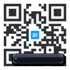 系统版 iOS 二维码